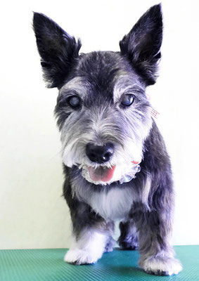 蔵薗ヒメちゃん