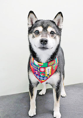 岩﨑レイちゃん