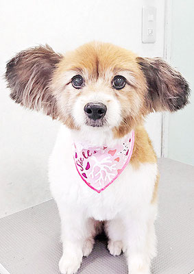 玉利ゆずちゃん