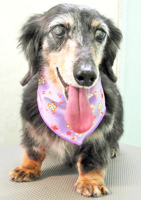 西山ユウちゃん