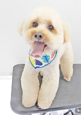 藤久保くうたちゃん