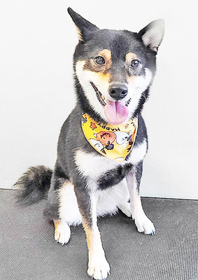 西元風子ちゃん