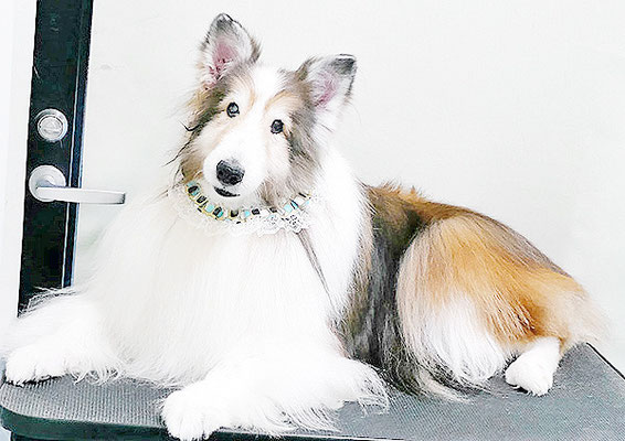 前野レオンちゃん