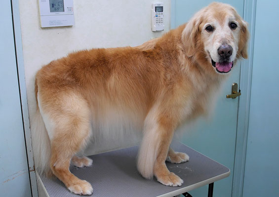 園田ファミレちゃん_2