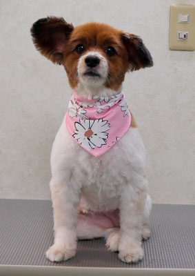 玉利ユズちゃん