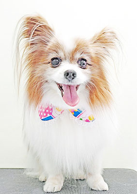 七枝ジャスミンちゃん