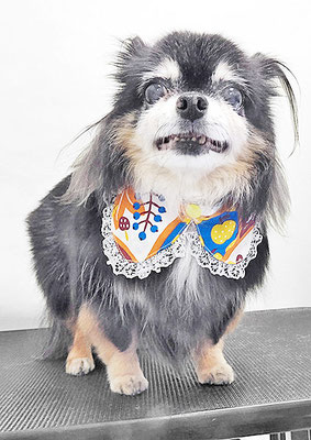 福留マロちゃん