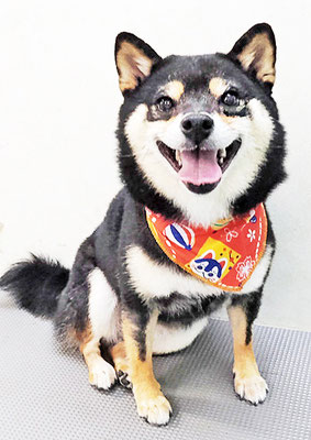 川畑すみれちゃん