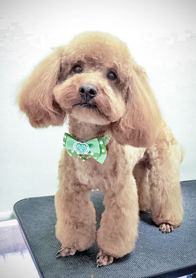 栗田ジンちゃん