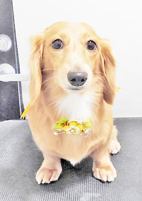 久保小春ちゃん