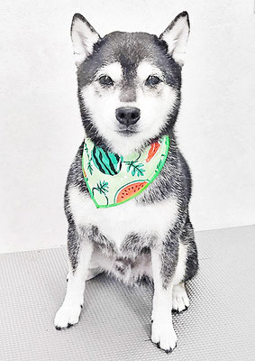 岩﨑レイちゃん