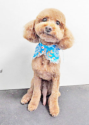 鶴虎太郎ちゃん