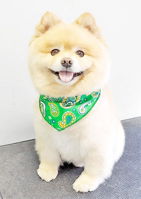 中間小次郎ちゃん