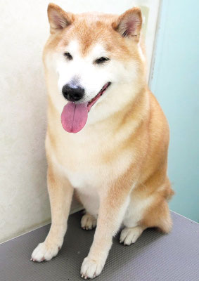 竹崎クウちゃん