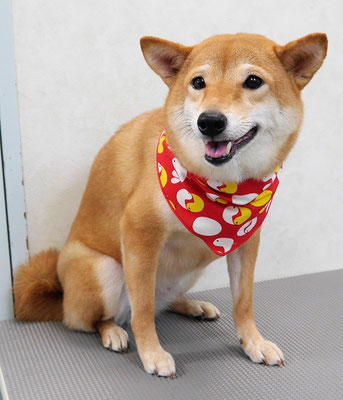 有馬コナツちゃん