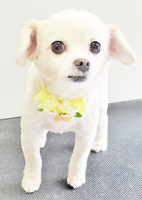 酒井ひなちゃん