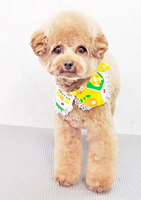 二見りくちゃん