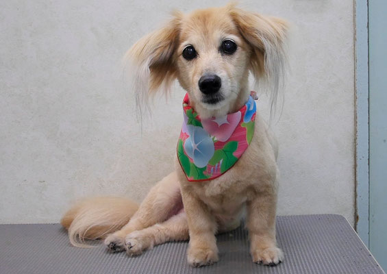 江口エルちゃん