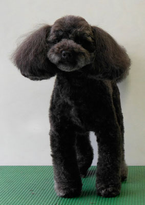 森崎ラブちゃん