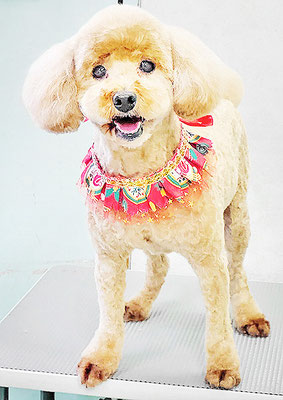 山アンちゃん