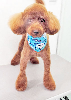 門之園るるちゃん