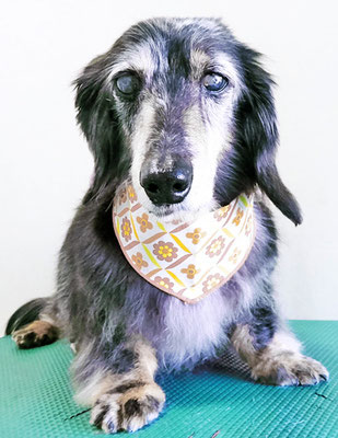 西山ユウちゃん