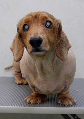 上野モンタちゃん