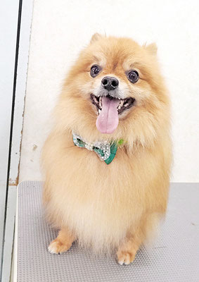 大井ポンタちゃん