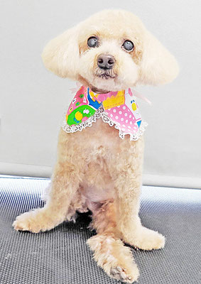 北チャ子ちゃん