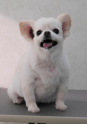 森崎ヒメちゃん