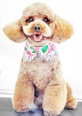 榎元チョコちゃん