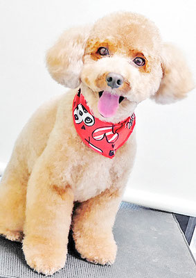 山小田チコちゃん