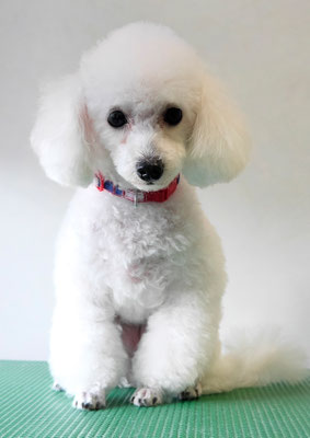 梶原ユキちゃん