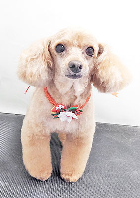 森崎ネネちゃん