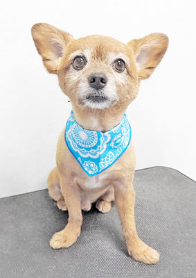 助村ルウちゃん