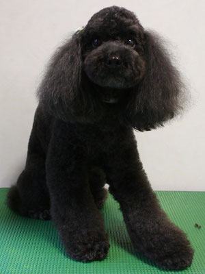 大山ロデムちゃん