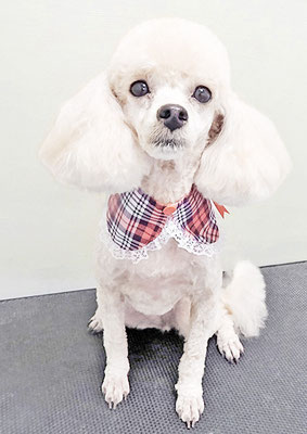 新留モコちゃん