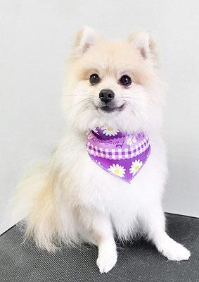 緒方サンちゃん