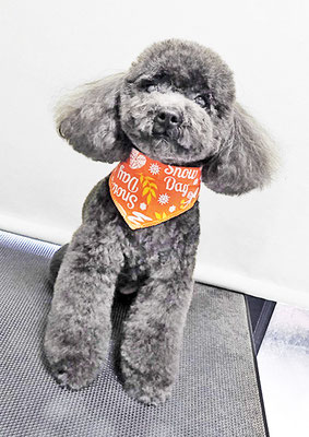 石田おはぎちゃん