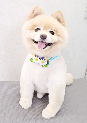 中間小次郎ちゃん