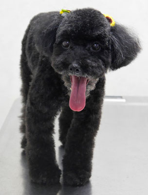 中井ヒナちゃん