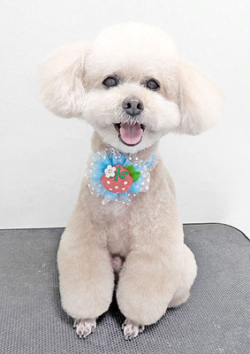 肥田クゥちゃん