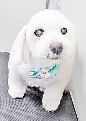 山口ふうたちゃん