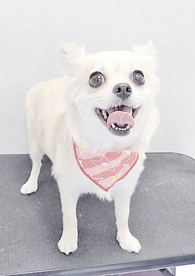 清原ムムちゃん