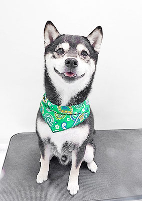 岩﨑レイちゃん