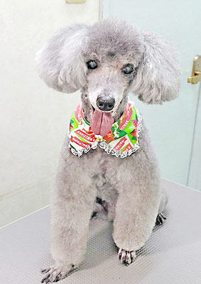 竹崎コナンちゃん