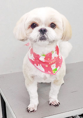 柳田モカちゃん