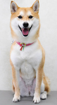 小村ユズちゃん