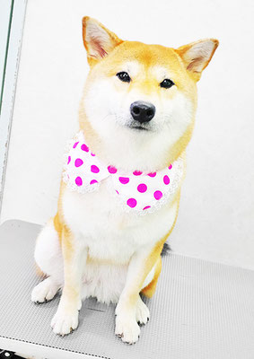 玖須ルビーちゃん