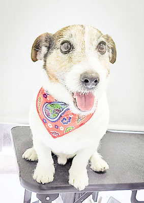 外園マロちゃん